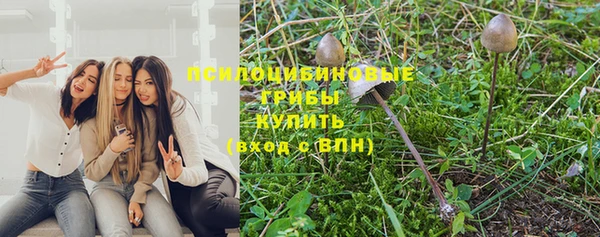 индика Елизово