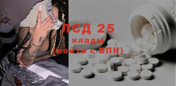 индика Елизово