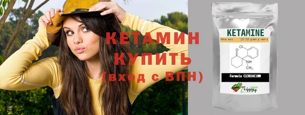 прущие грибы Ельня