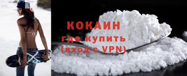 прущие грибы Ельня