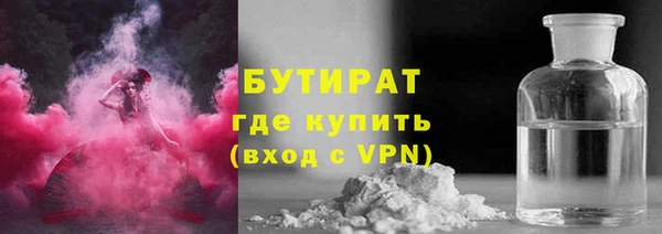 прущие грибы Ельня