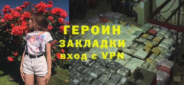 прущие грибы Ельня