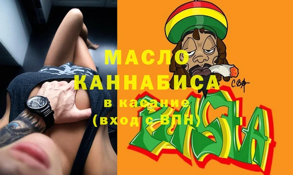 индика Елизово
