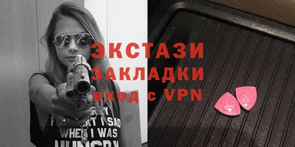 индика Елизово