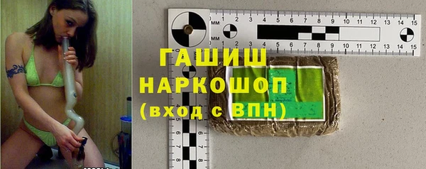 индика Елизово
